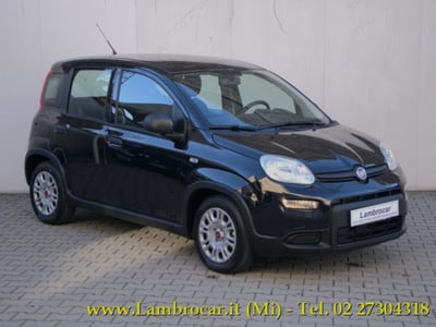 Fiat Panda 1.0 firefly hybrid s&amp;s 70cv 5p.ti del 2024 usata a Cologno Monzese