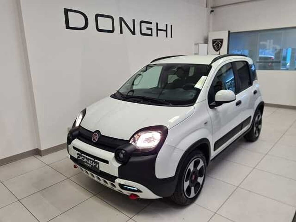 Fiat Panda Cross usata a Brescia