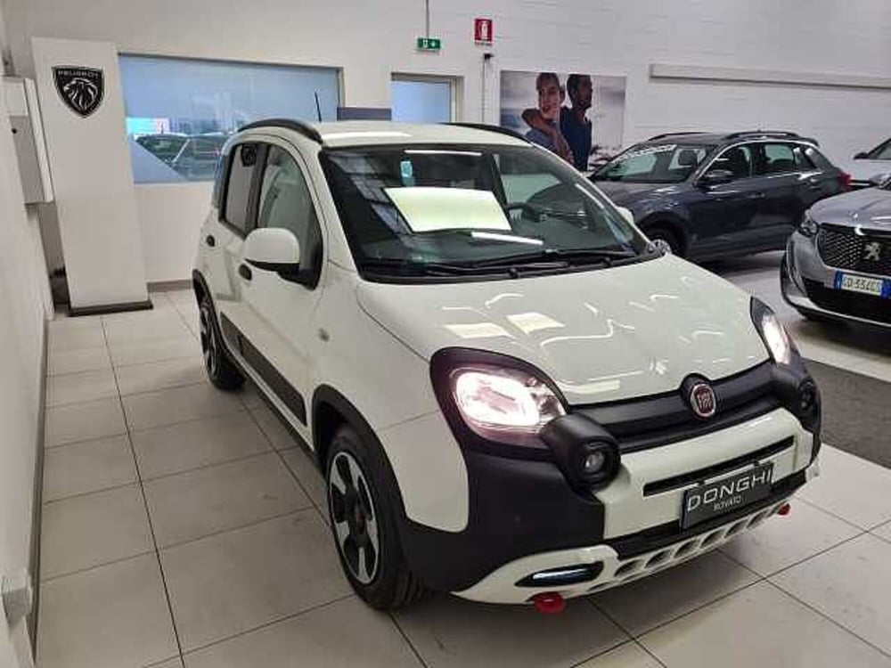 Fiat Panda Cross usata a Brescia (3)