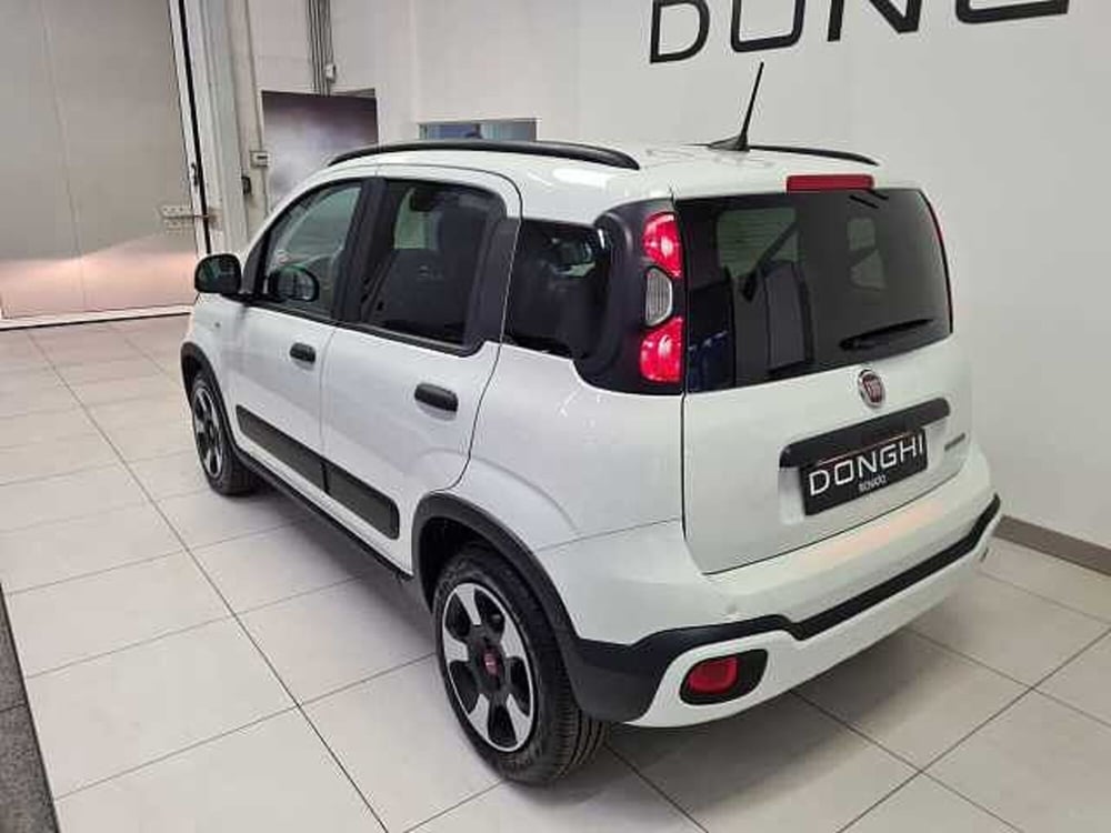 Fiat Panda Cross usata a Brescia (5)