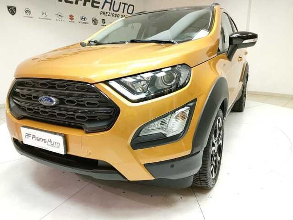 Ford EcoSport usata a Teramo (8)