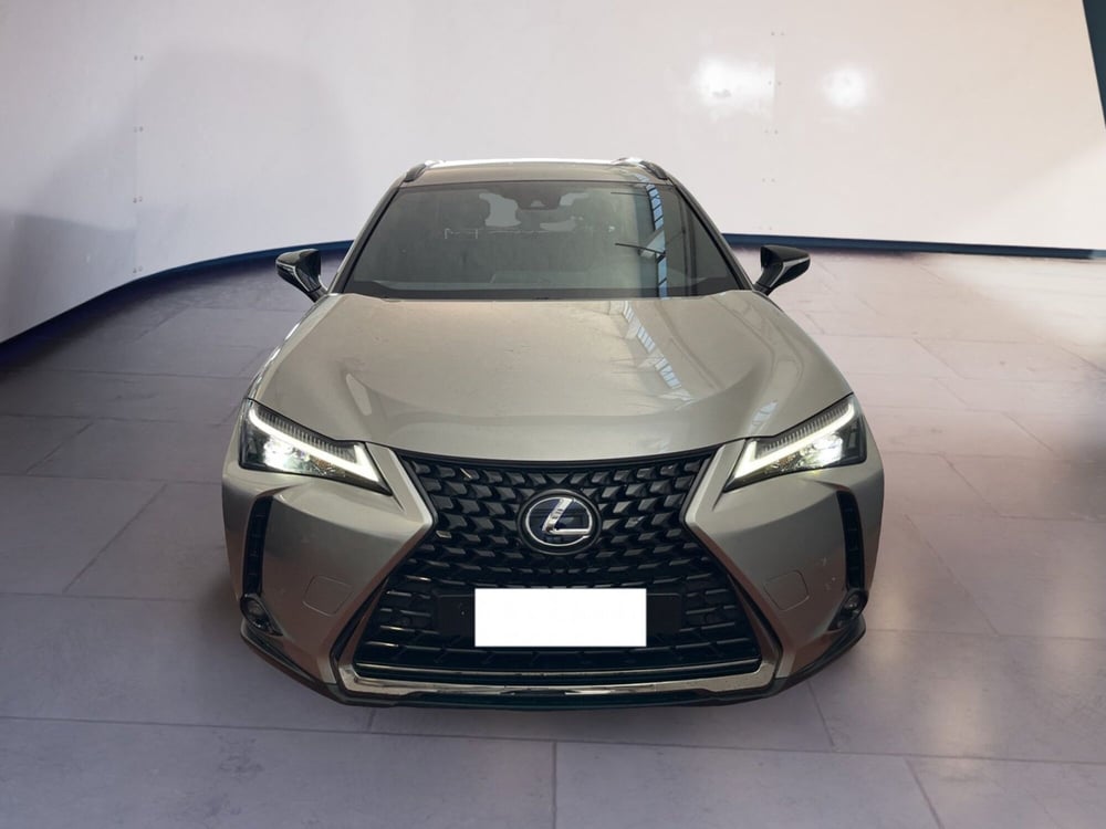 Lexus UX usata a Torino