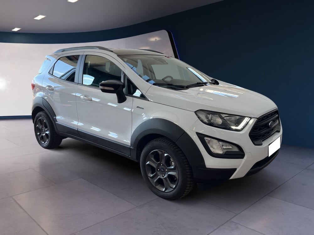 Ford EcoSport usata a Torino (3)