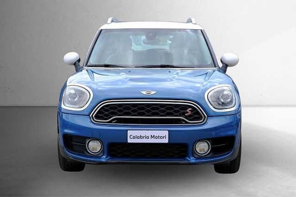 MINI Mini Countryman usata a Catanzaro (2)