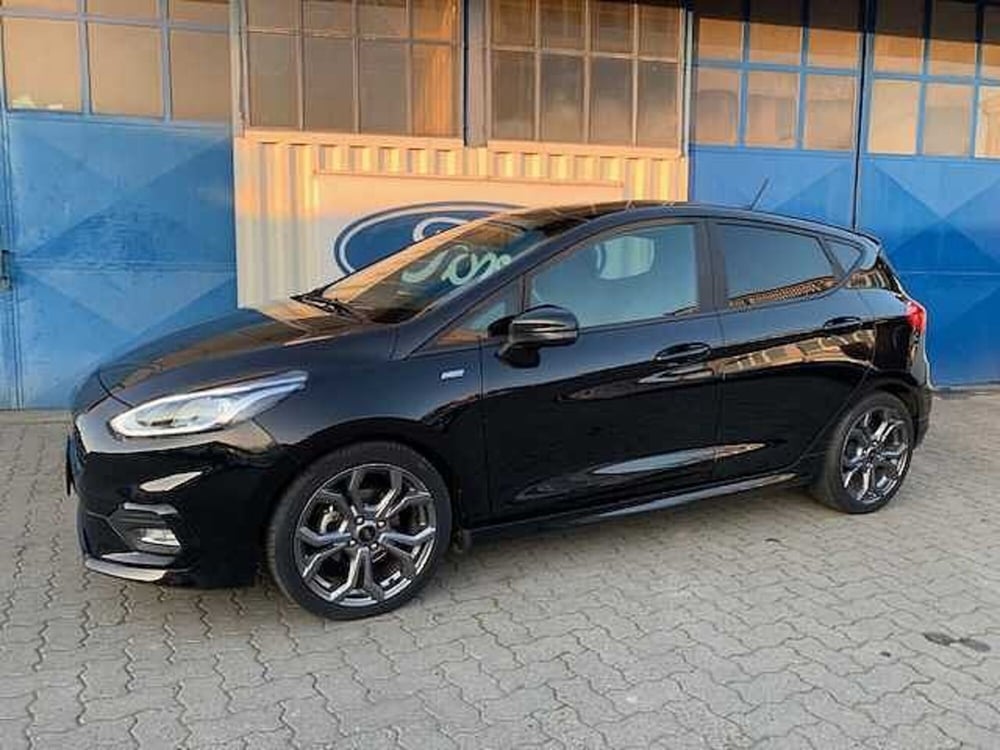 Ford Fiesta usata a Torino (2)