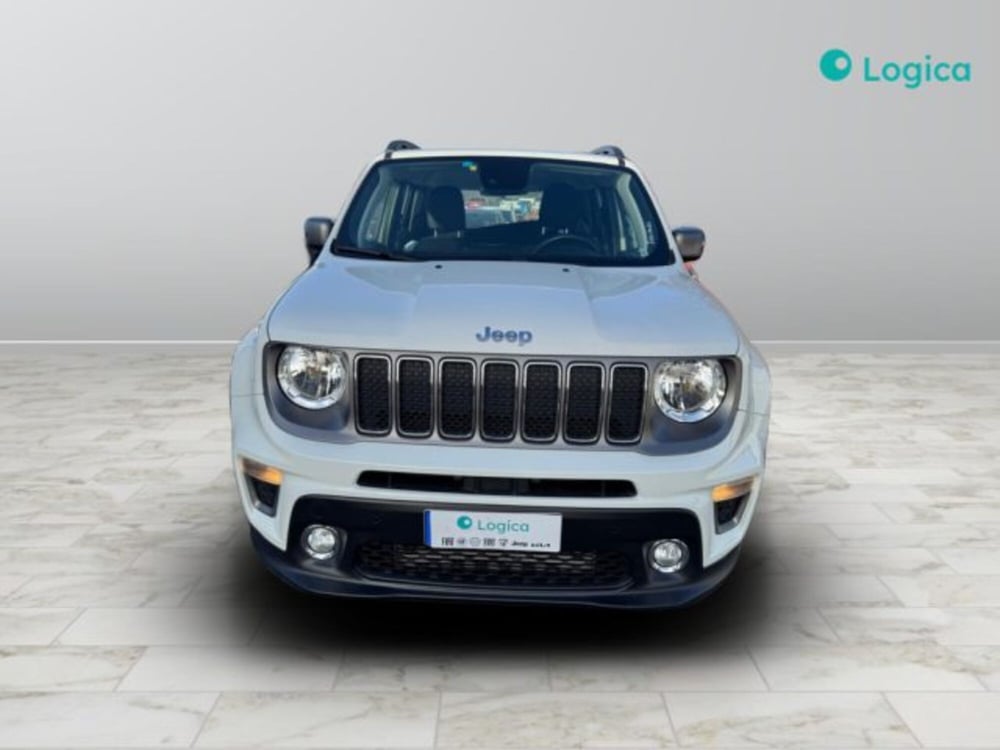 Jeep Renegade usata a Biella (2)