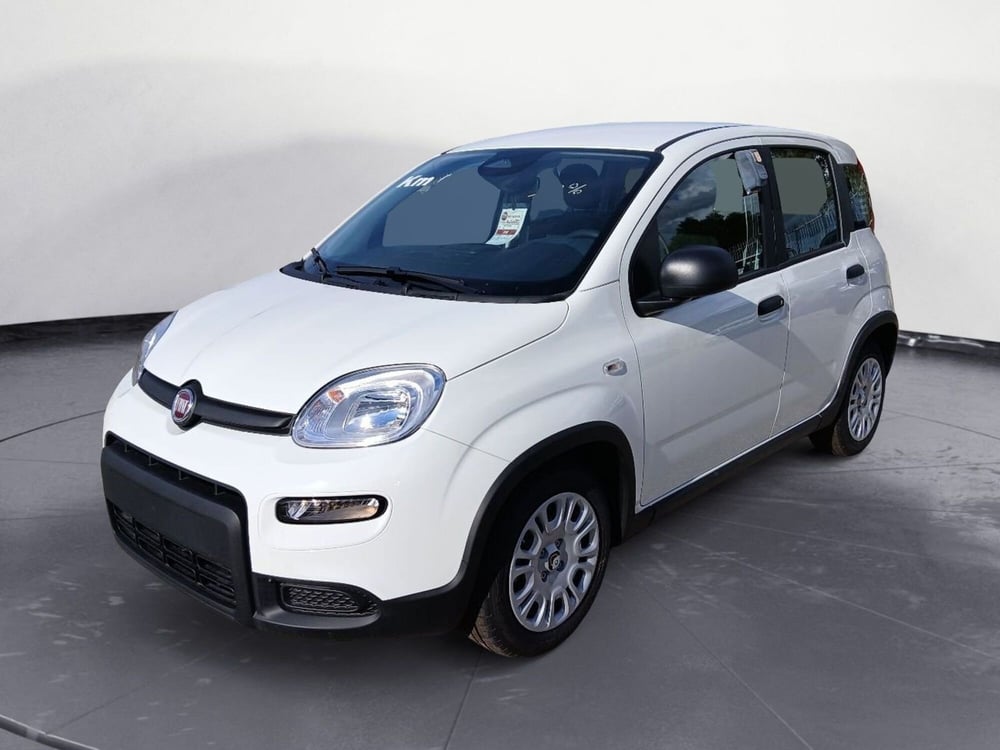 Fiat Panda nuova a Brindisi