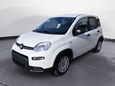 Fiat Panda 1.0 FireFly S&amp;S Hybrid City Cross  nuova a Brindisi