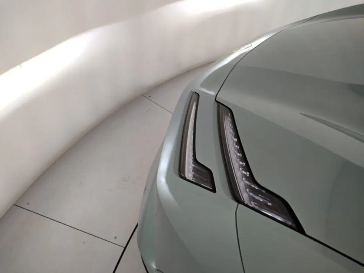Lotus Emeya nuova a Modena (12)