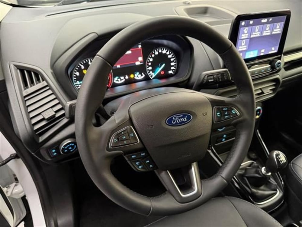 Ford EcoSport usata a Cremona (11)