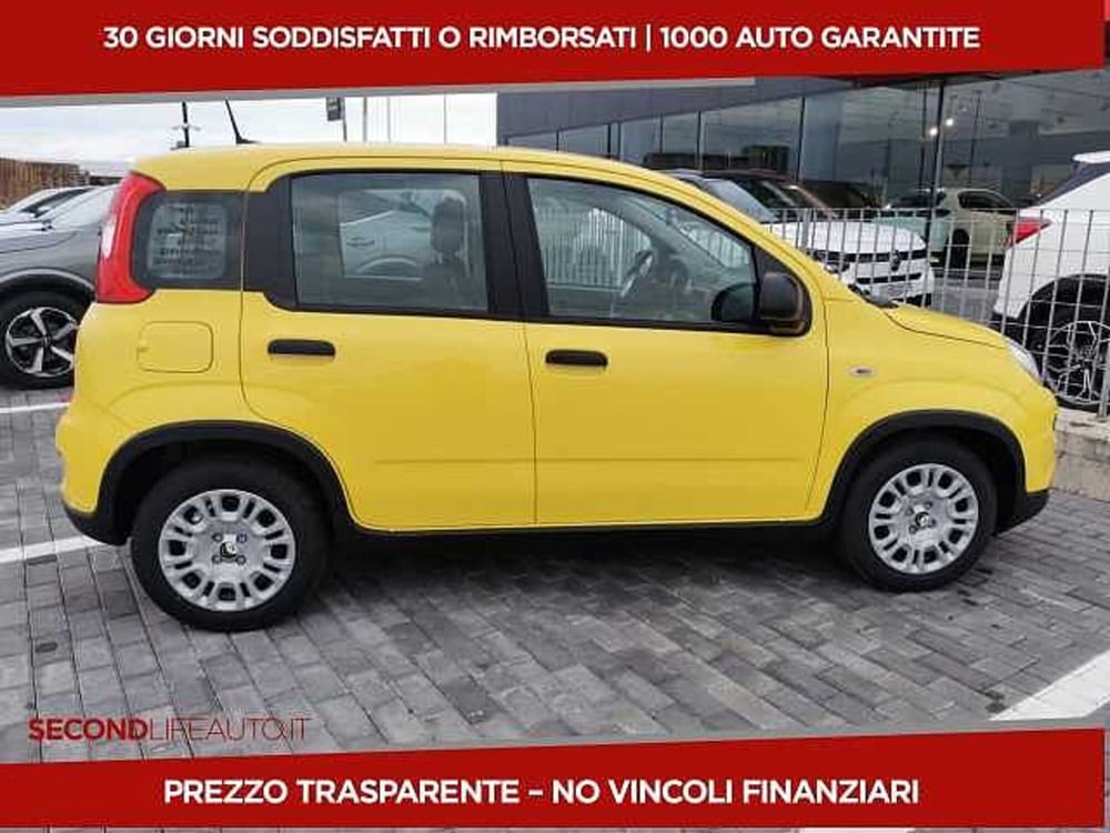 Fiat Panda nuova a Chieti (19)