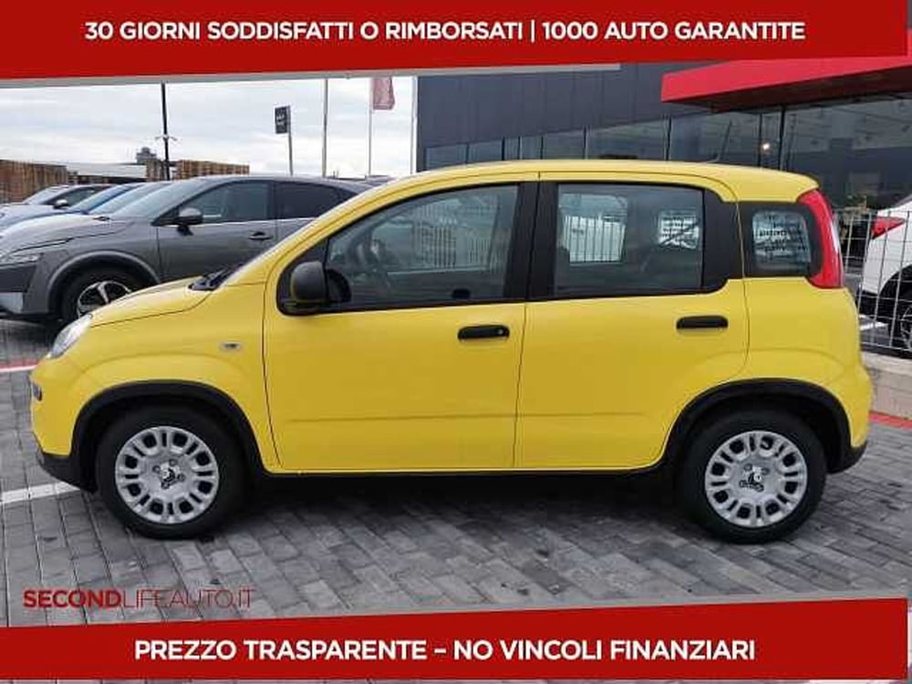 Fiat Panda nuova a Chieti (3)