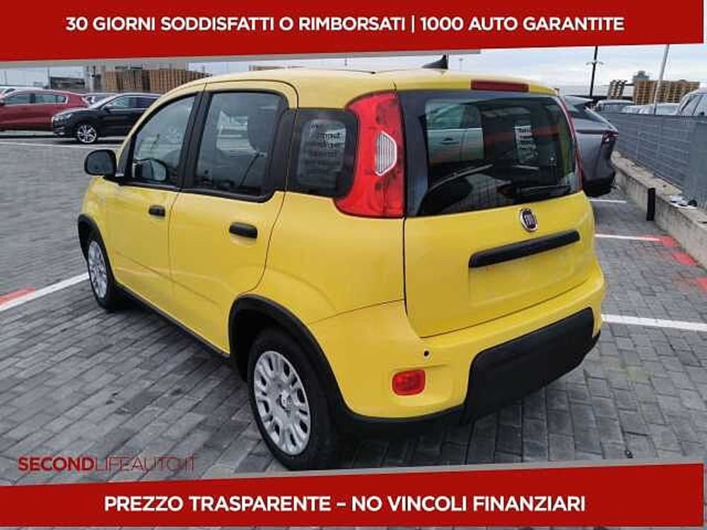 Fiat Panda nuova a Chieti (4)