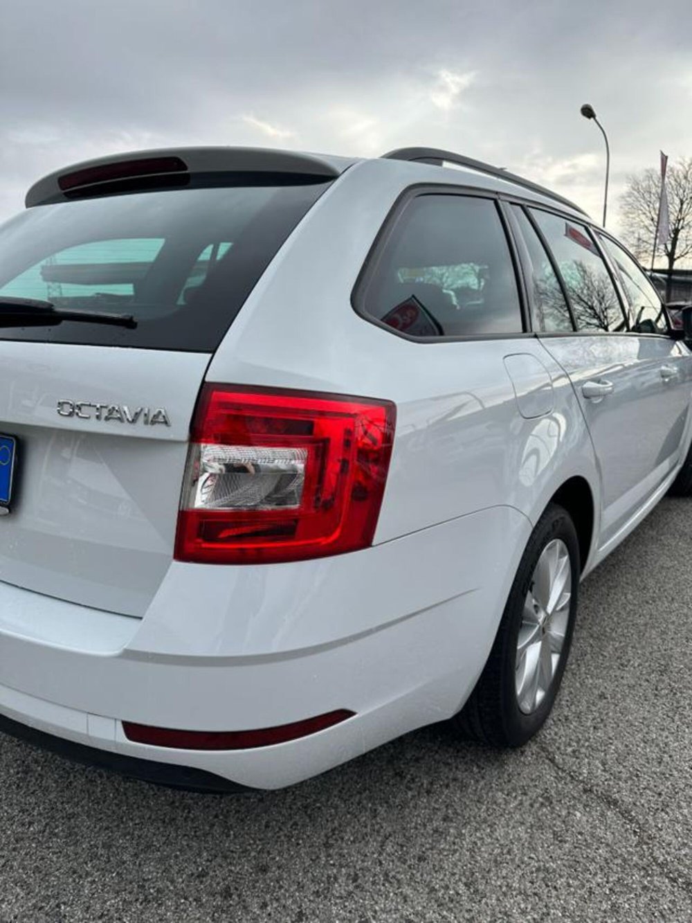 Skoda Octavia Station Wagon usata a Pordenone (6)