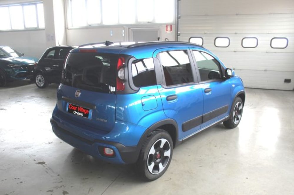 Fiat Panda Cross usata a Terni (4)