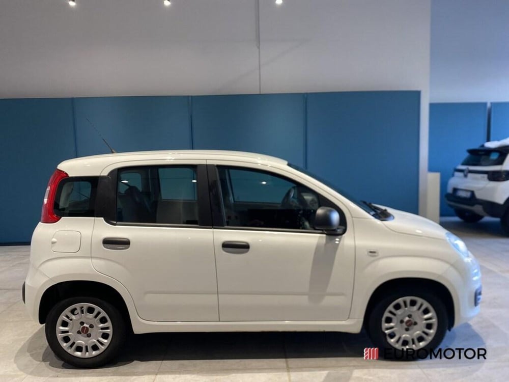 Fiat Panda usata a Bari (4)