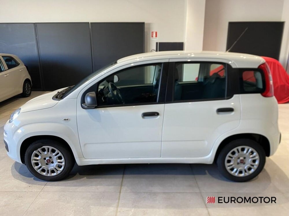 Fiat Panda usata a Bari (8)