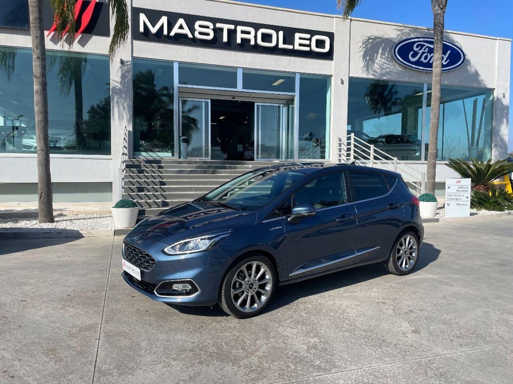 Ford Fiesta usata a Lecce (2)