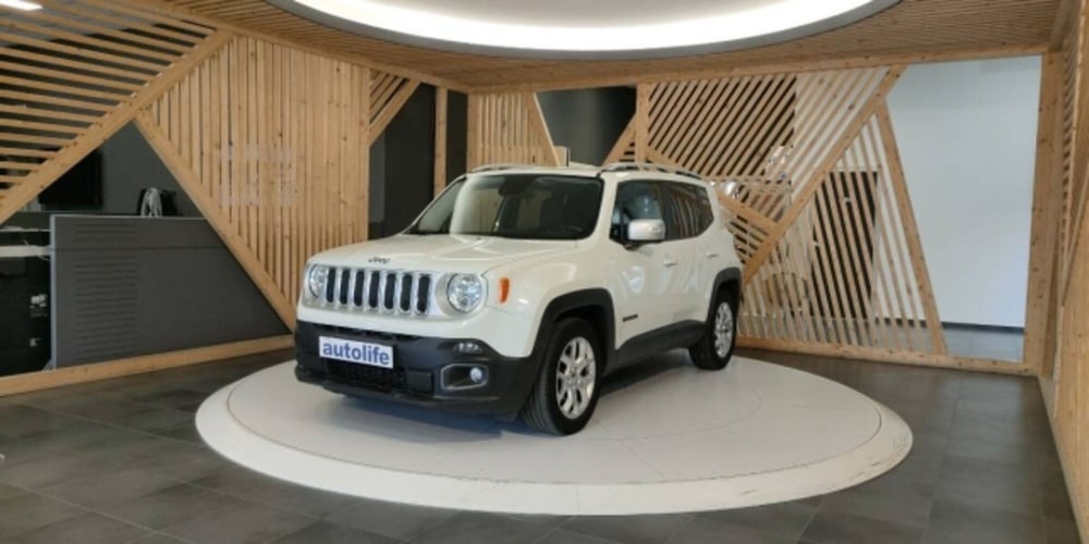 Jeep Renegade usata a Catanzaro (15)