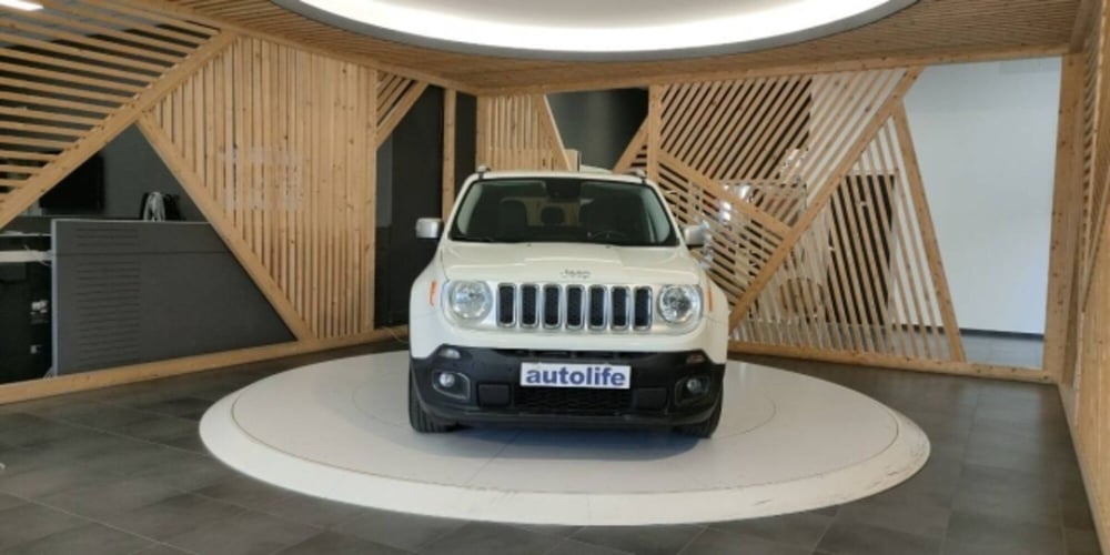 Jeep Renegade usata a Catanzaro (16)