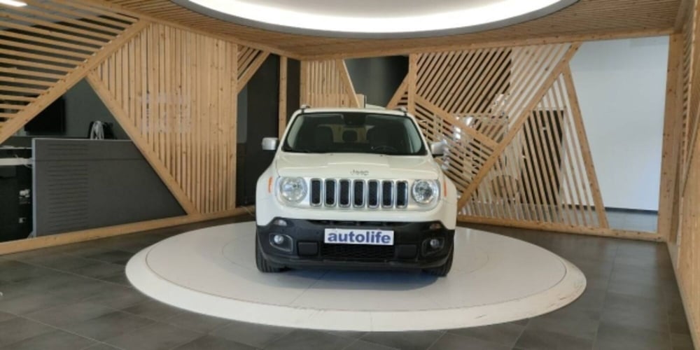 Jeep Renegade usata a Catanzaro (2)