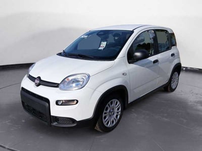 Fiat Panda 1.0 FireFly S&amp;S Hybrid City Cross  nuova a Maglie