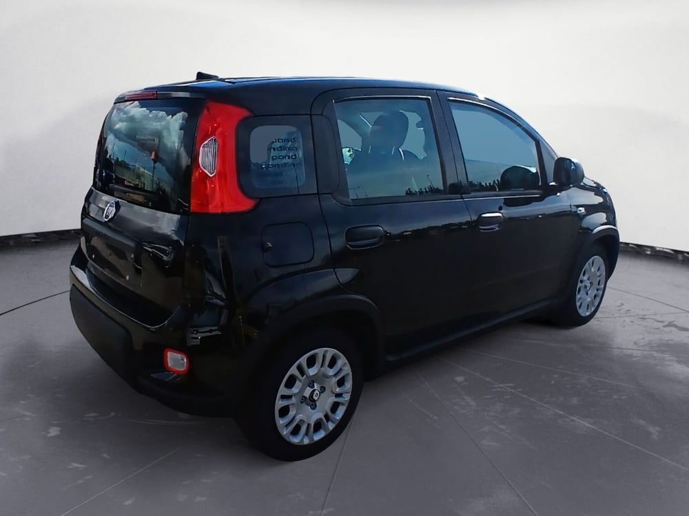 Fiat Panda nuova a Lecce (3)