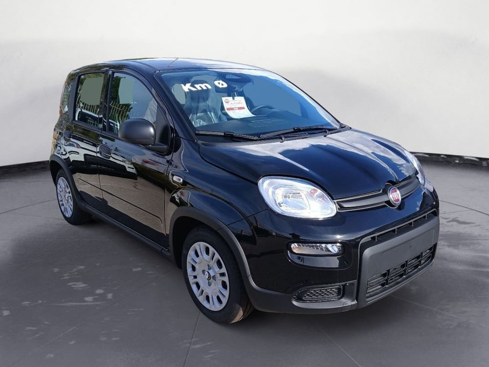 Fiat Panda nuova a Lecce (8)