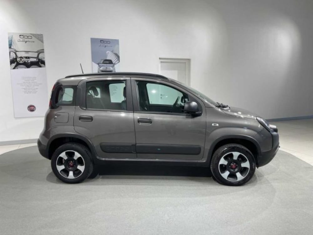 Fiat Panda Cross usata a Sondrio (6)