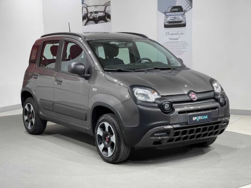 Fiat Panda Cross usata a Sondrio (7)