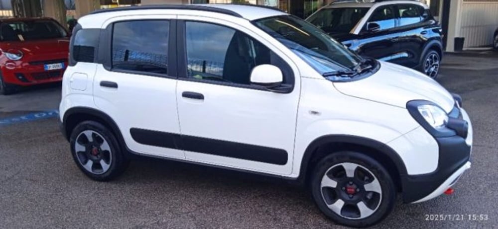 Fiat Panda Cross usata a Frosinone (2)