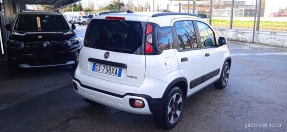 Fiat Panda Cross usata a Frosinone (3)