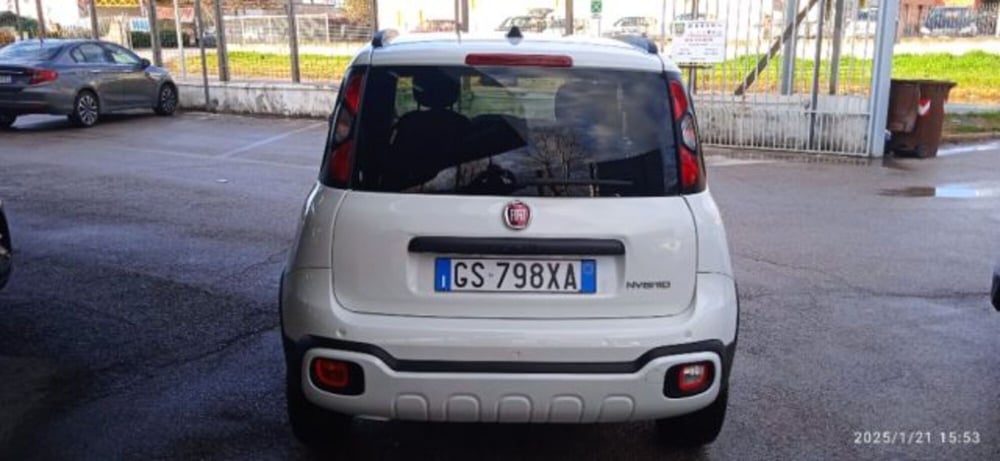 Fiat Panda Cross usata a Frosinone (4)