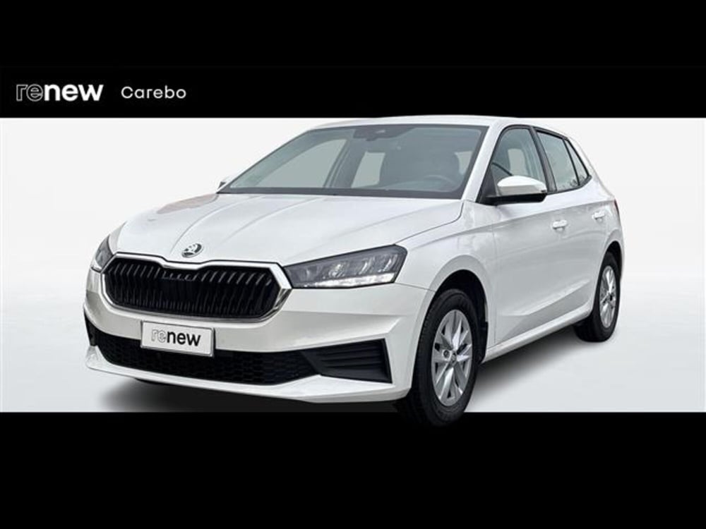 Skoda Fabia usata a Parma