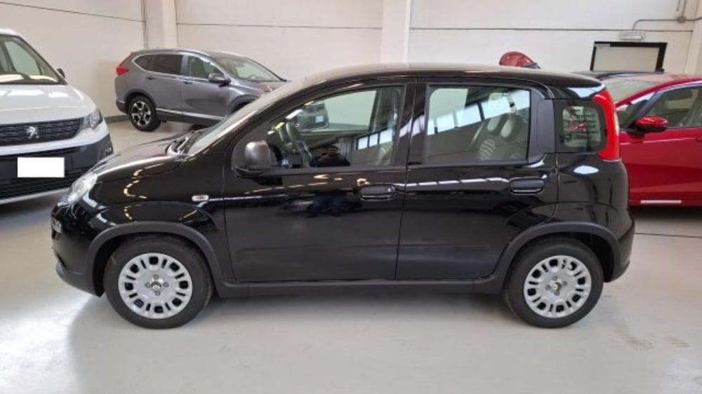 Fiat Panda nuova a Brescia (3)