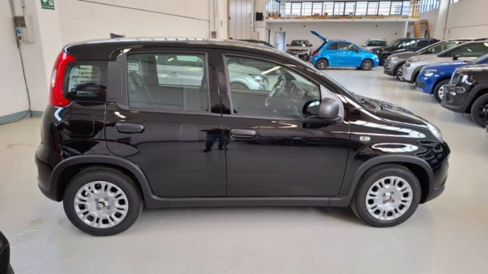 Fiat Panda nuova a Brescia (7)