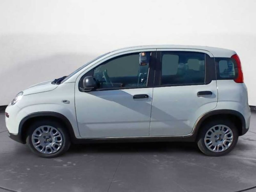 Fiat Panda nuova a Lecce (12)