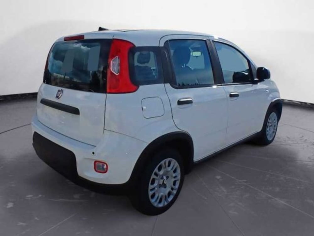 Fiat Panda nuova a Lecce (16)