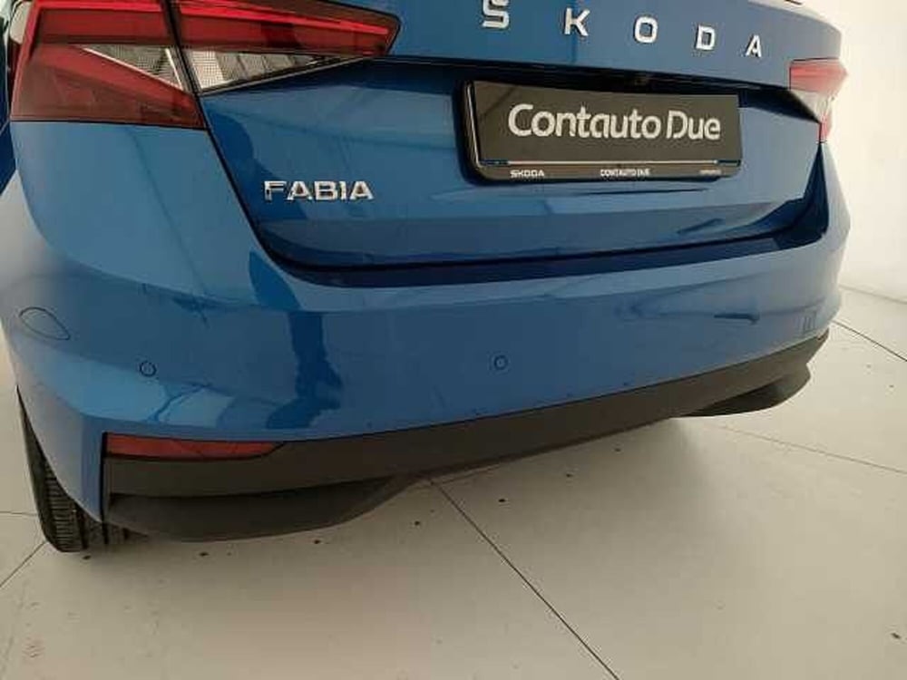 Skoda Fabia usata a Caserta (9)