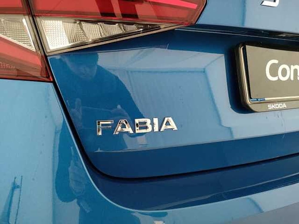 Skoda Fabia usata a Caserta (12)