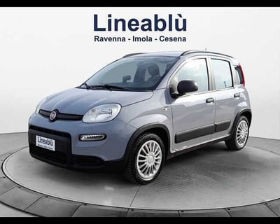 Fiat Panda 1.2 EasyPower City Life  del 2021 usata a Ravenna