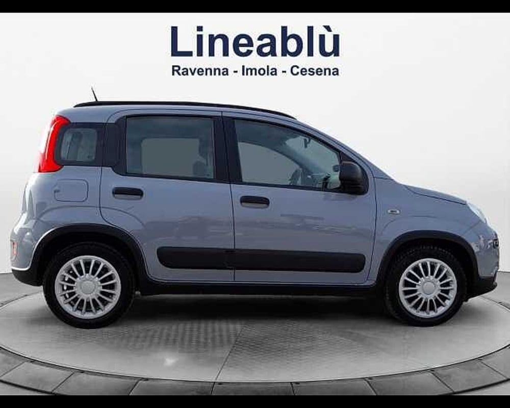 Fiat Panda usata a Ravenna (6)