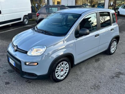 Fiat Panda 1.0 firefly hybrid s&amp;s 70cv del 2022 usata a Rho