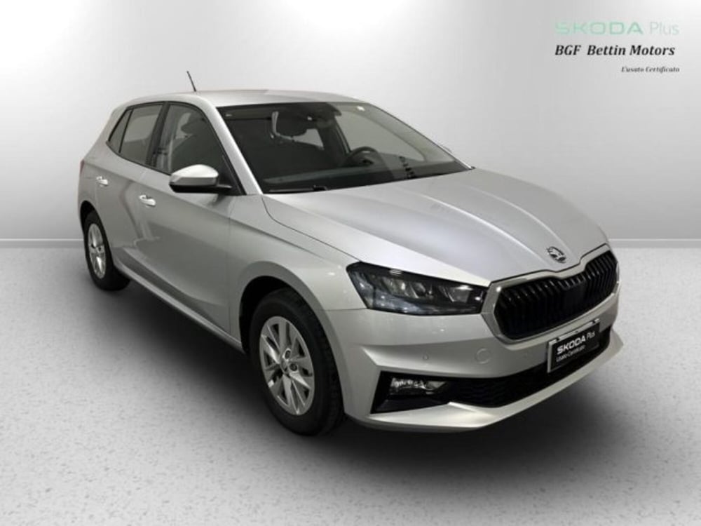 Skoda Fabia usata a Padova