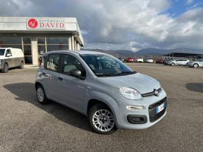 Fiat Panda 1.0 firefly hybrid s&amp;s 70cv 5p.ti del 2022 usata a Maniago