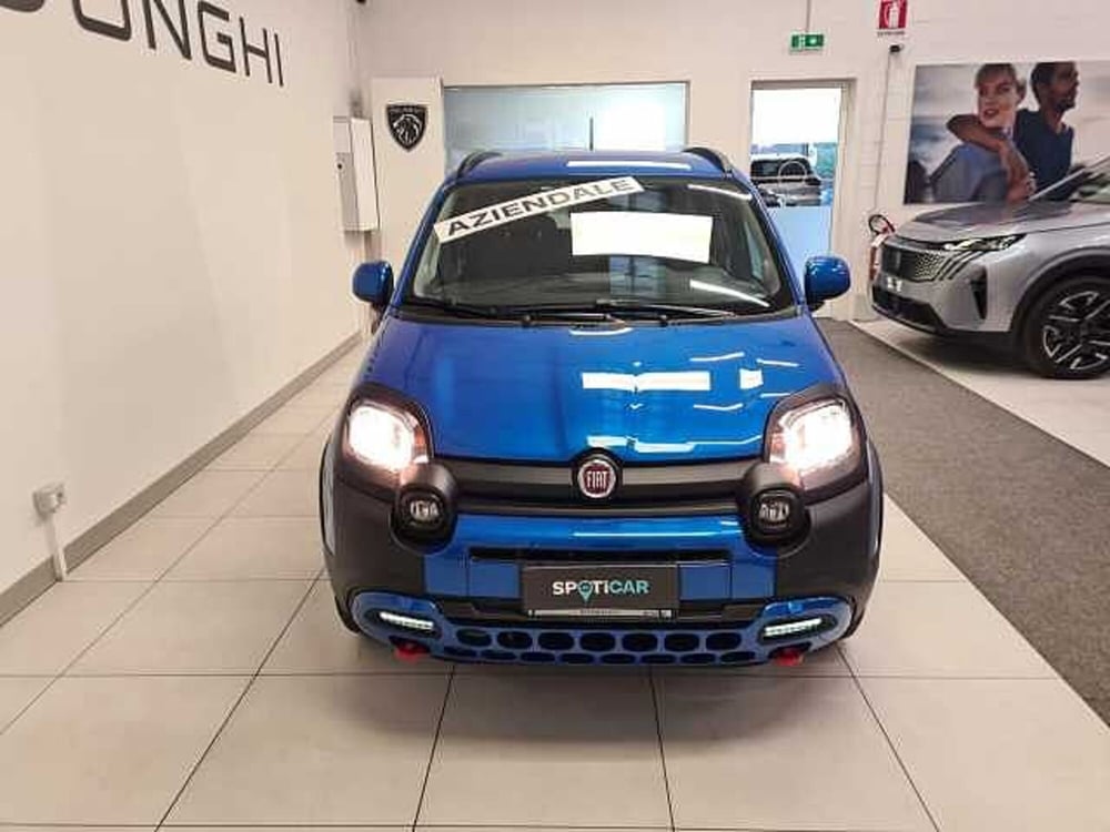 Fiat Panda Cross usata a Brescia (2)