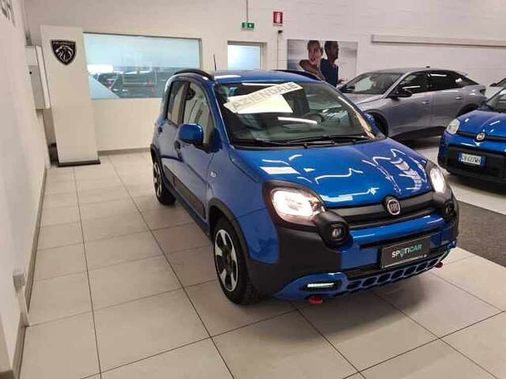 Fiat Panda Cross usata a Brescia (3)