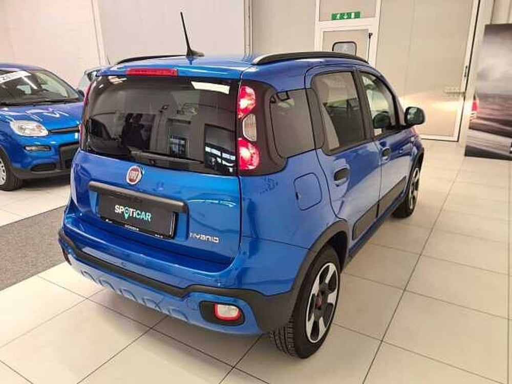 Fiat Panda Cross usata a Brescia (4)