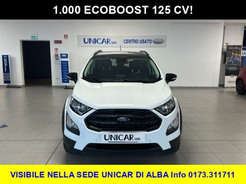 Ford EcoSport usata a Cuneo (2)