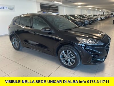 Ford Kuga 1.5 EcoBlue 120 CV 2WD ST-Line  del 2020 usata a Alba